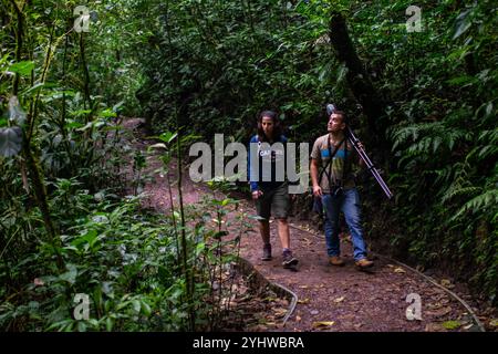 George of the Cloud Forest, Reiseleiter und Spezialist, führt eine junge Frau durch den Nebelwald von Monterey während der Fauna-Tour in Costa Rica Stockfoto