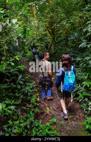 George of the Cloud Forest, Reiseleiter und Spezialist, führt eine junge Frau durch den Nebelwald von Monterey während der Fauna-Tour in Costa Rica Stockfoto