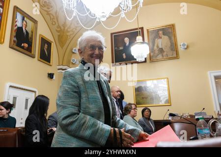 Washington, Usa. November 2024. Rep. Virginia Foxx (R-NC) sagt vor dem House Committee on Rules während einer Anhörung im Capitol Building in Washington DC aus. (Foto: Aaron Schwartz/SIPA USA) Credit: SIPA USA/Alamy Live News Stockfoto