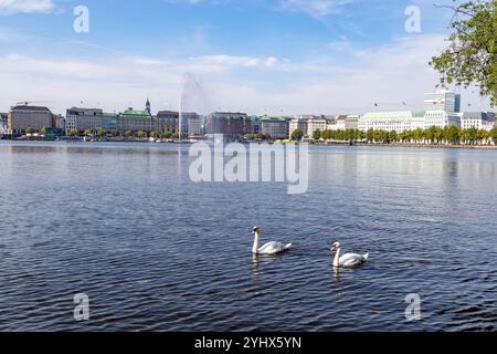 Innere Alster im hamburger Stadtzentrum mit Blick auf die Hamburger Skyline und rechts das imposante Fairmont Hotel vier Jahreszeiten Stockfoto