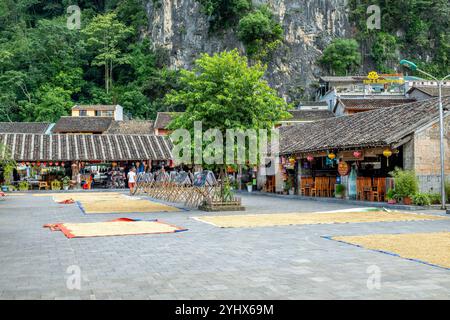 Reistrocknung in der Altstadt von Dong Van in der Provinz Ha Giang, Vietnam Stockfoto