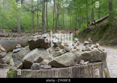 Auf dem Wanderweg von Lichtenhainer Wasserfall zum Kuhstall kommt man an einen Platz vorbei, wo ganz viele Steinmännchen auf gefällten Bäumen aufgebaut sind. *** Auf dem Wanderweg vom Lichtenhain-Wasserfall zum Kuhstall kommen Sie an einem Ort vorbei, an dem viele steinbrüche auf gehäuften Bäumen errichtet wurden Stockfoto