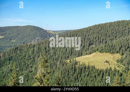 Pasul Prislop (Maramureș, Rumänien), Panoramablick über sanfte Hügel und dichte immergrüne Wälder unter einem klaren blauen Himmel Stockfoto