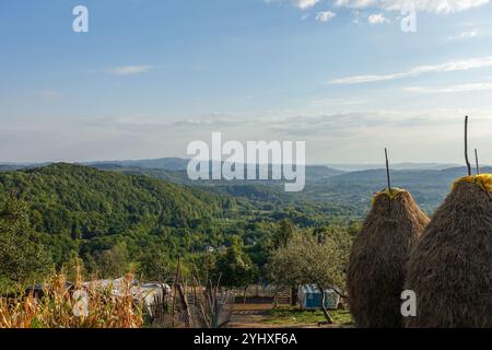 Ländliche rumänische Landschaft mit Heuhaufen und bewaldeten Hügeln unter blauem Himmel in einer friedlichen Landschaft in Curtea de Argeș Stockfoto