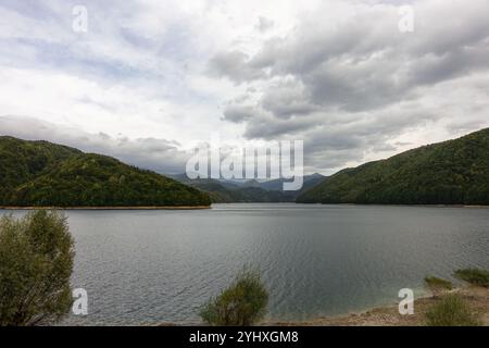 Malerische Aussicht auf einen ruhigen Stausee entlang der Cerna, umgeben von üppigen grünen Bergen unter einem bewölkten Himmel, schaffen eine ruhige und ruhige natürliche Landschaft Stockfoto