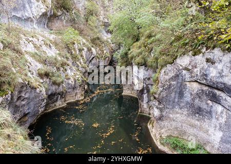 Cheile Corcoaia: Ein schmaler, üppig grüner Canyon mit steilen felsigen Klippen und einem kleinen Bach, der durch ihn fließt, umgeben von Bäumen und Vegetation Stockfoto