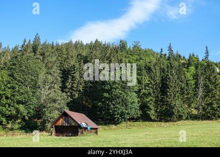 Schlafsack trocknet in der Sonne auf dem Dach einer Holzhütte in der Hohen Tatra, Slowakei, mit dichtem Wald im Hintergrund unter klarem blauem Himmel Stockfoto