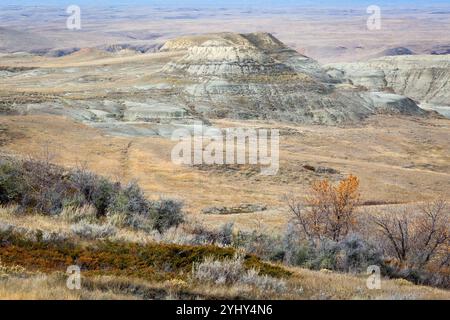 Große Badlands Hügel, die sich in der Ferne unterhalb der ausgedehnten Prärie und Grasland erheben. Grasslands National Park, Kanada Stockfoto