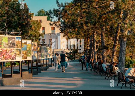 Die Altstadt von Belgrad mit kopfsteingepflasterten Straßen, historischen Gebäuden und lebhaften Cafés im Freien spiegelt den Charme der klassischen europäischen Städte wider. Die Gegend ist die Heimat berühmter Sehenswürdigkeiten wie der Belgrader Festung und dem Platz der Republik, mit viel lokalem Leben und Straßenmusikern. Hochwertige Fotos Stockfoto
