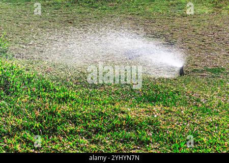 Spritzwasser über einem üppig grünen Rasen. Das Gras ist grün und der Sprinkler sprüht Wasser Stockfoto