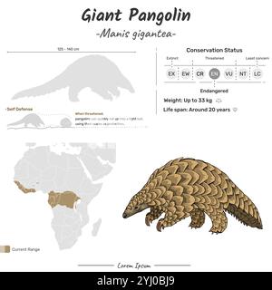 Manis gigantea Giant Pangolin geographische Reichweite. Für Inhalte des Tierwissens, Forschungsbedarf, allgemeine Tierbildung. Stock Vektor