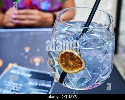 Gin Tonic mit Zitrone und Eis in einem Glas auf dem Tisch Stockfoto