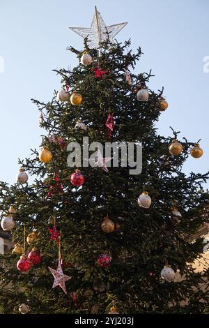 Der große Weihnachtsbaum auf dem Hauptplatz von Bologna. Italien Stockfoto