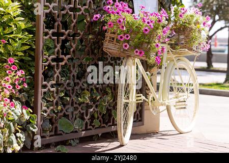 Ein Fahrrad mit einem Korb voller Blumen steht draußen. Die Blumen sind rosa und lila, und der Korb ist mit ihnen gefüllt. Die Szene ist friedlich und Stockfoto