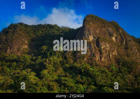 Sonnenlicht am frühen Morgen auf dem Cerro la Cruz (oben rechts) im Nationalpark Altos de Campana, Provinz Panama, Zentralamerika. Stockfoto