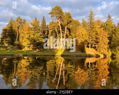 Wunderschöner Herbst in Estland Stockfoto