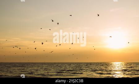 Panorama des Ozeanstrandes bei Sonnenuntergang mit Silhouetten von Möwen. Goldener rosafarbener Sonnenuntergang über dem Meer und Silhouette fliegenden Vögeln. Eine Vogelherde fliegt Stockfoto