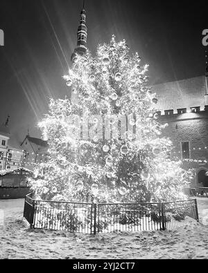 Weihnachtsbaum in der Altstadt von Tallinn Stockfoto