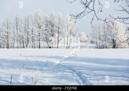 Winterlandschaft. Schneebedeckte Bäume und Büsche. Der Weg im Schnee, Frost auf den Bäumen. Weihnachtsgrüße. Neujahr. Stockfoto