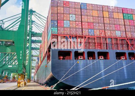 Ein großes Containerschiff, der Hamburg Express, wird an einem Hafen angedockt, der mit einer Vielzahl von farbenfrohen Containern beladen oder entladen wird, Singapur Stockfoto