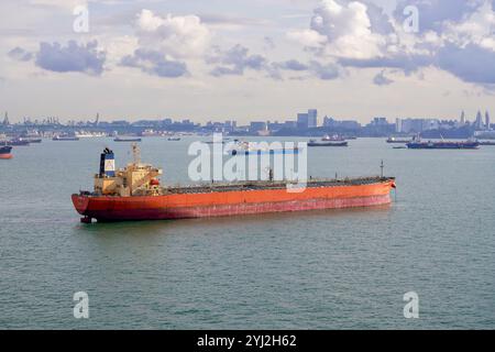 Frachtschiff, das auf einem riesigen Meer mit einer Flotte von Schiffen und einer fernen Skyline der Stadt unter einem bewölkten Himmel segelt, Singapur Stockfoto