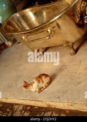 Eine Ingwer-weiße Katze sitzt auf einem gefliesten Boden neben einer übergroßen goldenen Badewanne mit Zierfüßen in einem warmbeleuchteten Raum in Marokko Stockfoto