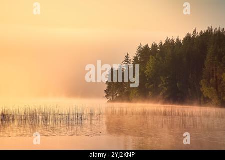 Sonnenaufgang mit Nebel über einem See in Schweden, bei Sonnenaufgang. Romantische Stille, in skandinavischer Natur Stockfoto