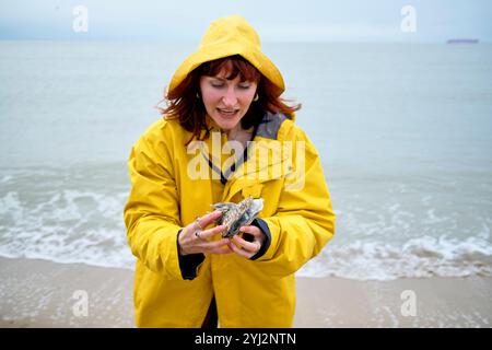 Eine Frau in einem gelben Regenmantel untersucht eine Muschel an einem bewölkten Strandtag in Belgien Stockfoto