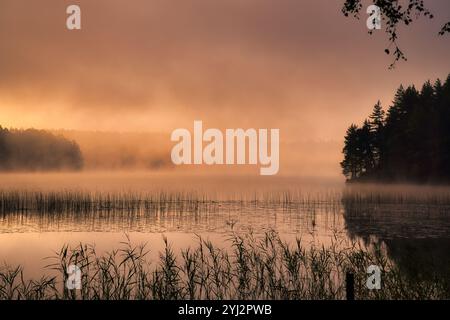 Sonnenaufgang mit Nebel über einem See in Schweden, bei Sonnenaufgang. Romantische Stille, in skandinavischer Natur Stockfoto