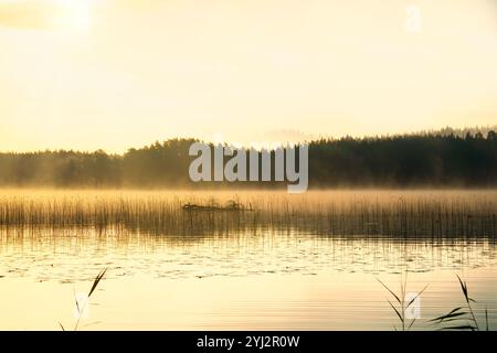 Sonnenaufgang mit Nebel über einem See in Schweden, bei Sonnenaufgang. Romantische Stille, in skandinavischer Natur Stockfoto