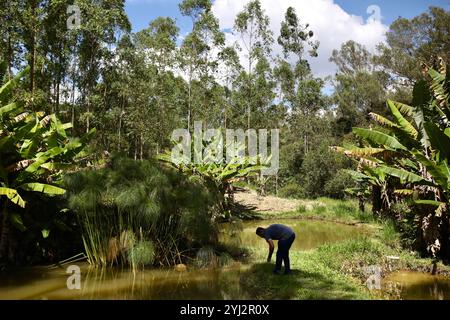 24. April 2023, Sao Joao Del Rei, Minas Gerais, Brasilien: Ein Garten und ein Fischteich, der das APAC-Gebäude umgibt. In SÃ£o JoÃ£o del-Rei im brasilianischen Bundesstaat Minas Gerais gibt ein Gefängnis ohne Waffen oder Wachen, das von der Vereinigung für Schutz und Unterstützung der Sträflinge (APAC) geführt wird, den Häftlingen die würde zurück. Die Methode zielt darauf ab, die Verantwortung der Gefangenen zu erhöhen, indem sie strenge Zeitpläne und die obligatorische religiöse Einhaltung vorschreibt. Die Erfahrung ist eine Ausnahme im brasilianischen Gefängnissystem. (Credit Image: © Apolline Guillerot-Malick/SOPA images via ZUM Stockfoto