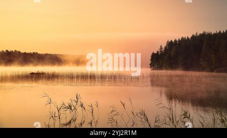 Sonnenaufgang mit Nebel über einem See in Schweden, bei Sonnenaufgang. Romantische Stille, in skandinavischer Natur Stockfoto