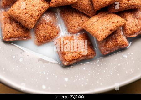 Schokoladen-Müsli-Maisquadrate in Reismilch, die eine Mischung aus weichen und knusprigen Texturen hervorheben, ideal für ein köstliches Frühstück. Draufsicht Stockfoto