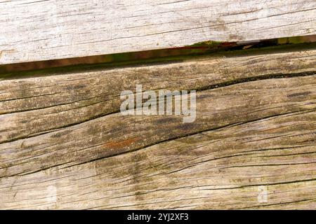 Raue Holzstruktur mit natürlichen Rissen und verwitterten Linien. Perfekte rustikale Kulisse für Designs und Vintage-Ästhetik. Abstrakter Hintergrund Stockfoto