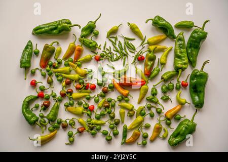 Sammlung verschiedener Paprika-Arten Stockfoto