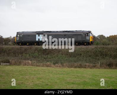 Hanson und Hall Diesellokomotive der Baureihe 50 Nr. 50008 „Thunderer“, Warwickshire, Großbritannien Stockfoto