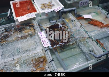 Frische Hummer werden in Tanks auf einem Markt in Hongkong ausgestellt, die in den frühen Morgenstunden Einkäufer anziehen. Stockfoto