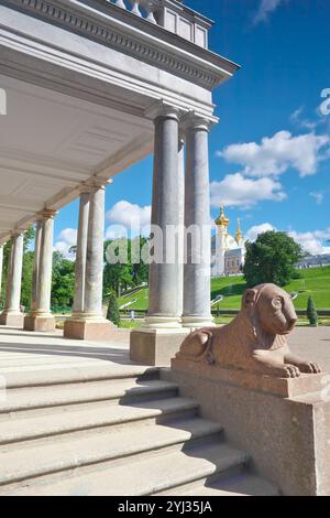 Lions in Pertergof, Sankt-Petersburg, Russland Stockfoto