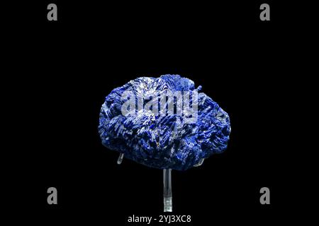 Azurite oder Azure Spa ist ein weiches, tiefblaues Kupfermineral, das durch Verwitterung von Kupfererzlagerstätten entsteht. Stockfoto