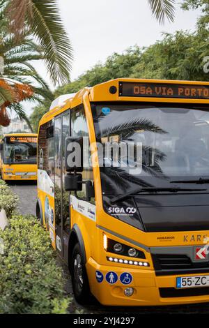 Funchal, Madeira, Portugal, 7. November 2024: Blick auf den Siga-Bus in Funchal, Madeira Stockfoto