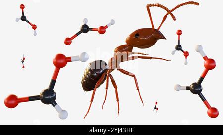Durch die 3D-Verarbeitung von Formica rufa oder roter Holzameise kann es einen mächtigen Strahl Ameisensäure sprühen, eine chemische Waffe, die Feinde und Feinde abschrecken kann. Stockfoto