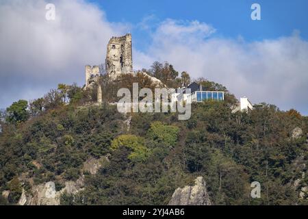 Drachenfels, ein Berg im Siebengebirge am Rhein zwischen Bad Honnef und Königswinter, mit Drachenfels Burgruine, Drachenfelsplateau, Nor Stockfoto