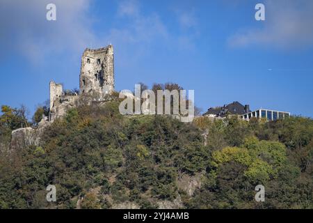 Drachenfels, ein Berg im Siebengebirge am Rhein zwischen Bad Honnef und Königswinter, mit Drachenfels Burgruine, Drachenfelsplateau, Nor Stockfoto