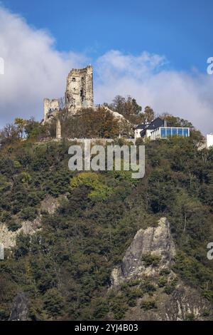 Drachenfels, ein Berg im Siebengebirge am Rhein zwischen Bad Honnef und Königswinter, mit Drachenfels Burgruine, Drachenfelsplateau, Nor Stockfoto