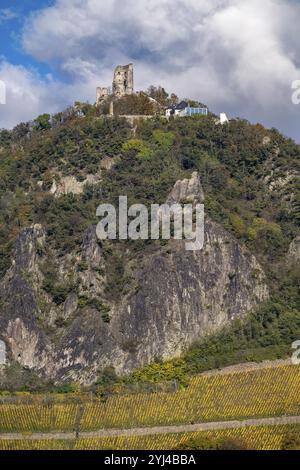 Drachenfels, ein Berg im Siebengebirge am Rhein zwischen Bad Honnef und Königswinter, mit Drachenfels Burgruine, Drachenfelsplateau, Nor Stockfoto