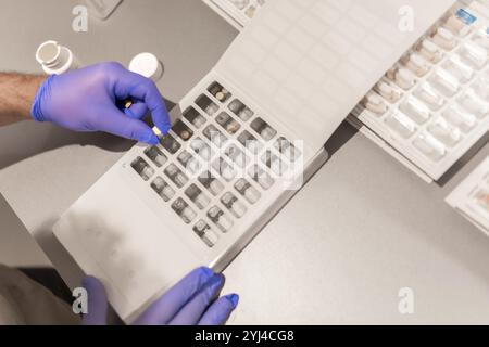 Nahaufnahme der Hände eines Arztes von oben mit blauen Latexhandschuhen, die Pillen auf einen Organisator im Labor legen Stockfoto