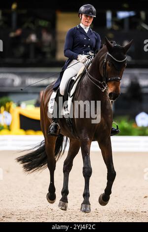 Stuttgart, Deutschland. November 2024. 1. Platz Harnisch Carina auf FBW Francis, RFV Oehringen Preis der Firma I West Nat. Dressurprüfung Kl. S Aufgabe: Intermediaire I GER, Stuttgart German Masters 2024, 38. internationales Reitturnier, 13.11.2024 Foto: Eibner-Pressefoto/Roger Buerke Credit: dpa/Alamy Live News Stockfoto