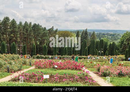 Russland, Kislowodsk - 19. Juni 2024: Rosengarten im Kislowodsk-Nationalpark Stockfoto