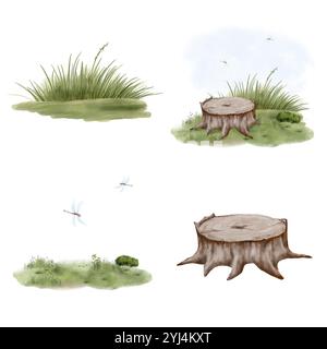 Baumstumpf auf der Wiese. Set aus verschiedenen Stümpfen und Büschen isoliert auf weißem Hintergrund. Digitale Illustration mit Aquarell. Libellen und Schmetterlinge Stockfoto