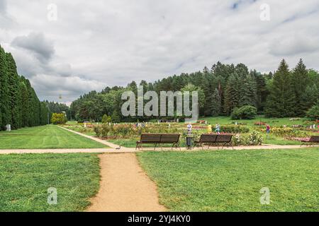 Russland, Kislowodsk - 19. Juni 2024: Rosengarten im Kislowodsk-Nationalpark Stockfoto